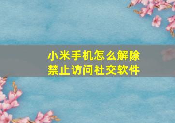 小米手机怎么解除禁止访问社交软件