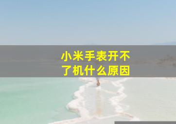 小米手表开不了机什么原因