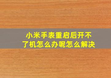 小米手表重启后开不了机怎么办呢怎么解决