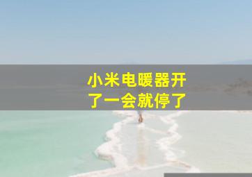 小米电暖器开了一会就停了