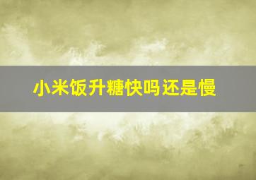 小米饭升糖快吗还是慢