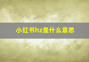 小红书hz是什么意思