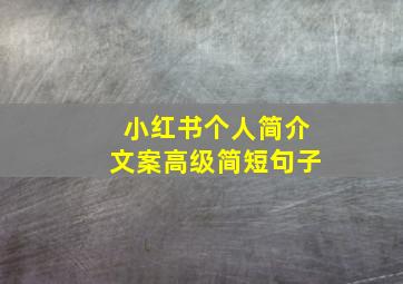 小红书个人简介文案高级简短句子