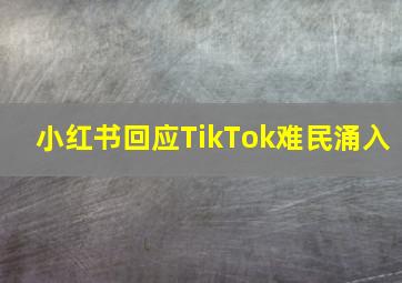 小红书回应TikTok难民涌入