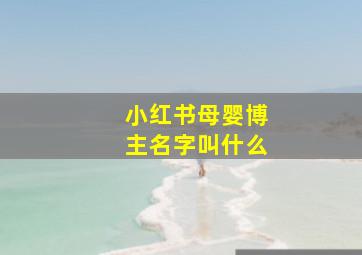 小红书母婴博主名字叫什么