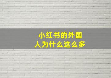 小红书的外国人为什么这么多