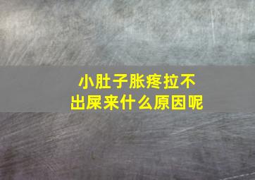 小肚子胀疼拉不出屎来什么原因呢