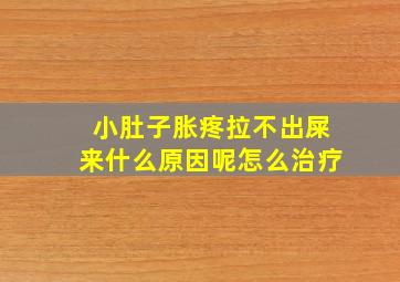 小肚子胀疼拉不出屎来什么原因呢怎么治疗