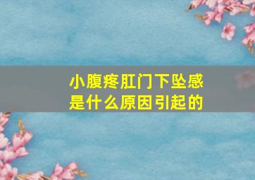 小腹疼肛门下坠感是什么原因引起的