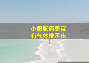 小腹胀痛感觉有气体排不出