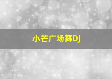 小芒广场舞DJ