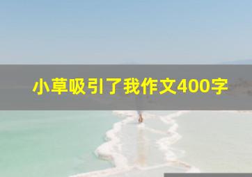 小草吸引了我作文400字