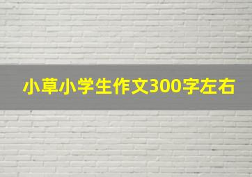 小草小学生作文300字左右