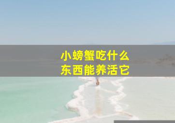 小螃蟹吃什么东西能养活它