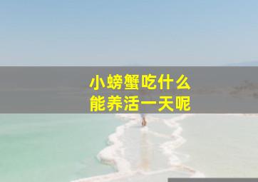 小螃蟹吃什么能养活一天呢