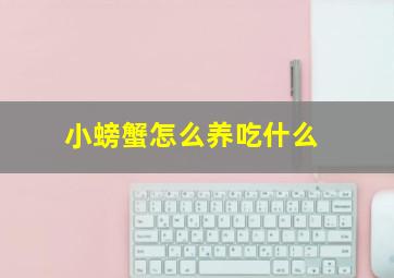 小螃蟹怎么养吃什么