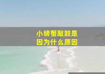 小螃蟹敲鼓是因为什么原因