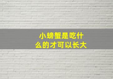 小螃蟹是吃什么的才可以长大