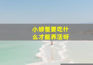 小螃蟹要吃什么才能养活呀