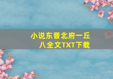 小说东晋北府一丘八全文TXT下载