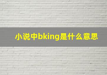 小说中bking是什么意思