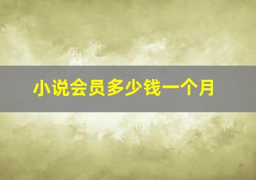 小说会员多少钱一个月