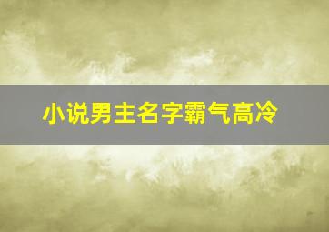 小说男主名字霸气高冷