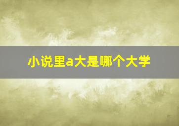 小说里a大是哪个大学