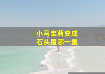 小马宝莉变成石头是哪一集