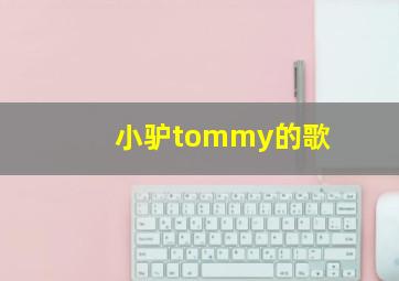 小驴tommy的歌