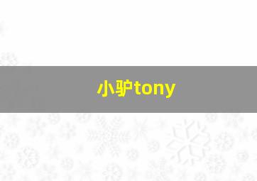 小驴tony