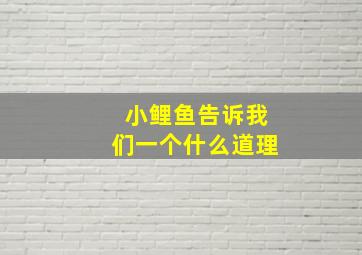 小鲤鱼告诉我们一个什么道理