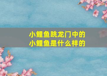 小鲤鱼跳龙门中的小鲤鱼是什么样的