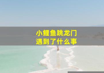 小鲤鱼跳龙门遇到了什么事