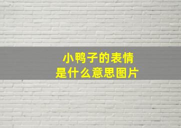 小鸭子的表情是什么意思图片