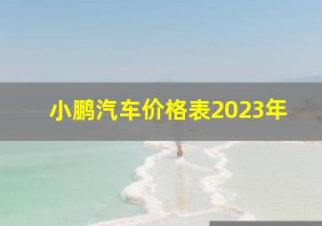 小鹏汽车价格表2023年