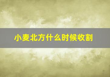 小麦北方什么时候收割