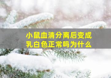 小鼠血清分离后变成乳白色正常吗为什么