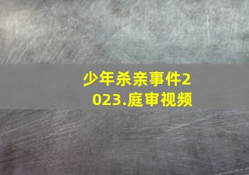 少年杀亲事件2023.庭审视频