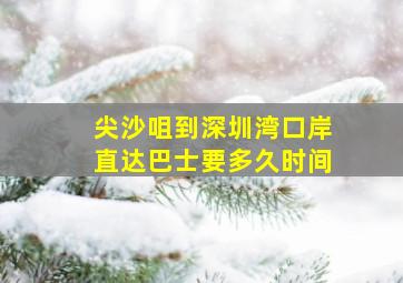 尖沙咀到深圳湾口岸直达巴士要多久时间