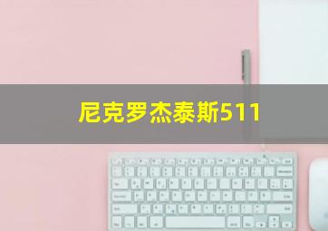 尼克罗杰泰斯511