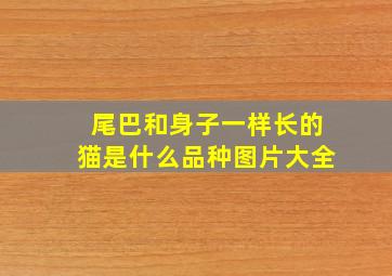 尾巴和身子一样长的猫是什么品种图片大全