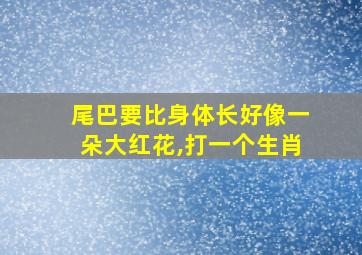 尾巴要比身体长好像一朵大红花,打一个生肖