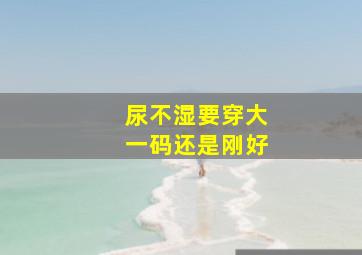 尿不湿要穿大一码还是刚好