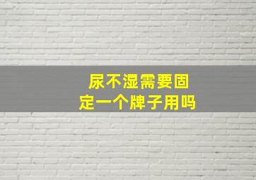 尿不湿需要固定一个牌子用吗