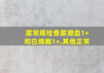 尿常规检查尿潜血1+和白细胞1+,其他正常