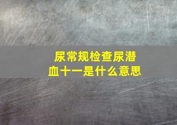 尿常规检查尿潜血十一是什么意思