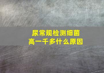 尿常规检测细菌高一千多什么原因