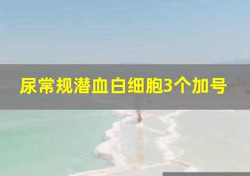 尿常规潜血白细胞3个加号