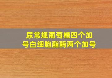 尿常规葡萄糖四个加号白细胞酯酶两个加号